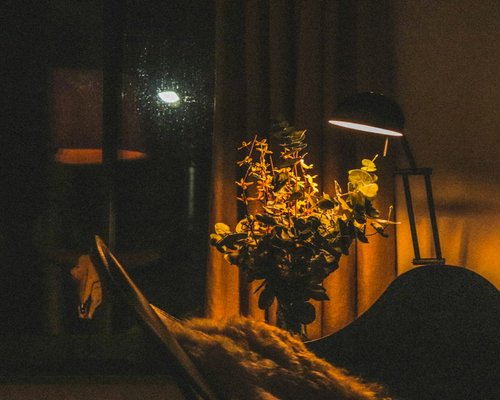 quiet evening at home with warm lighting